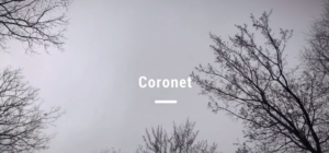 Read more about the article Coronet: MILAN