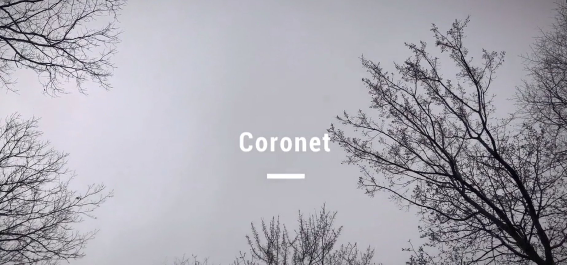 Read more about the article Coronet: MILAN