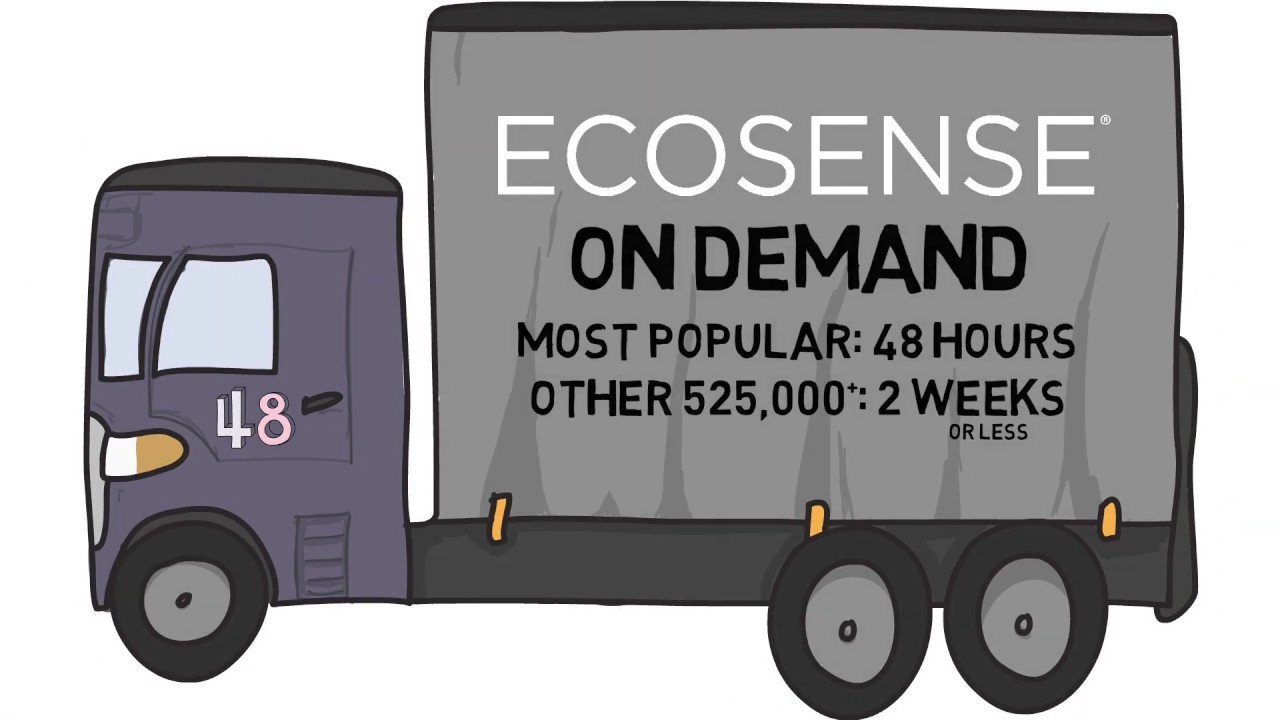 Read more about the article Ecosense On Demand