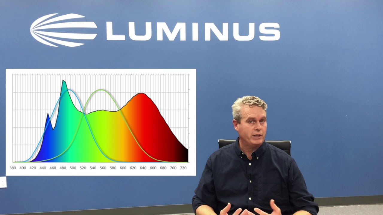 Read more about the article Luminus: Salud Mid Power LEDs