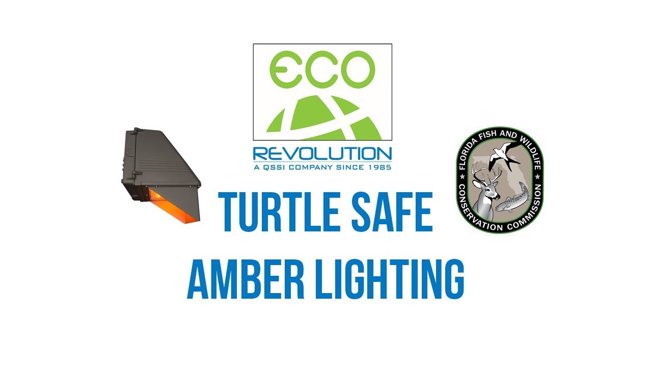 Eco-Revolution: Turtle Safe Amber Lighting