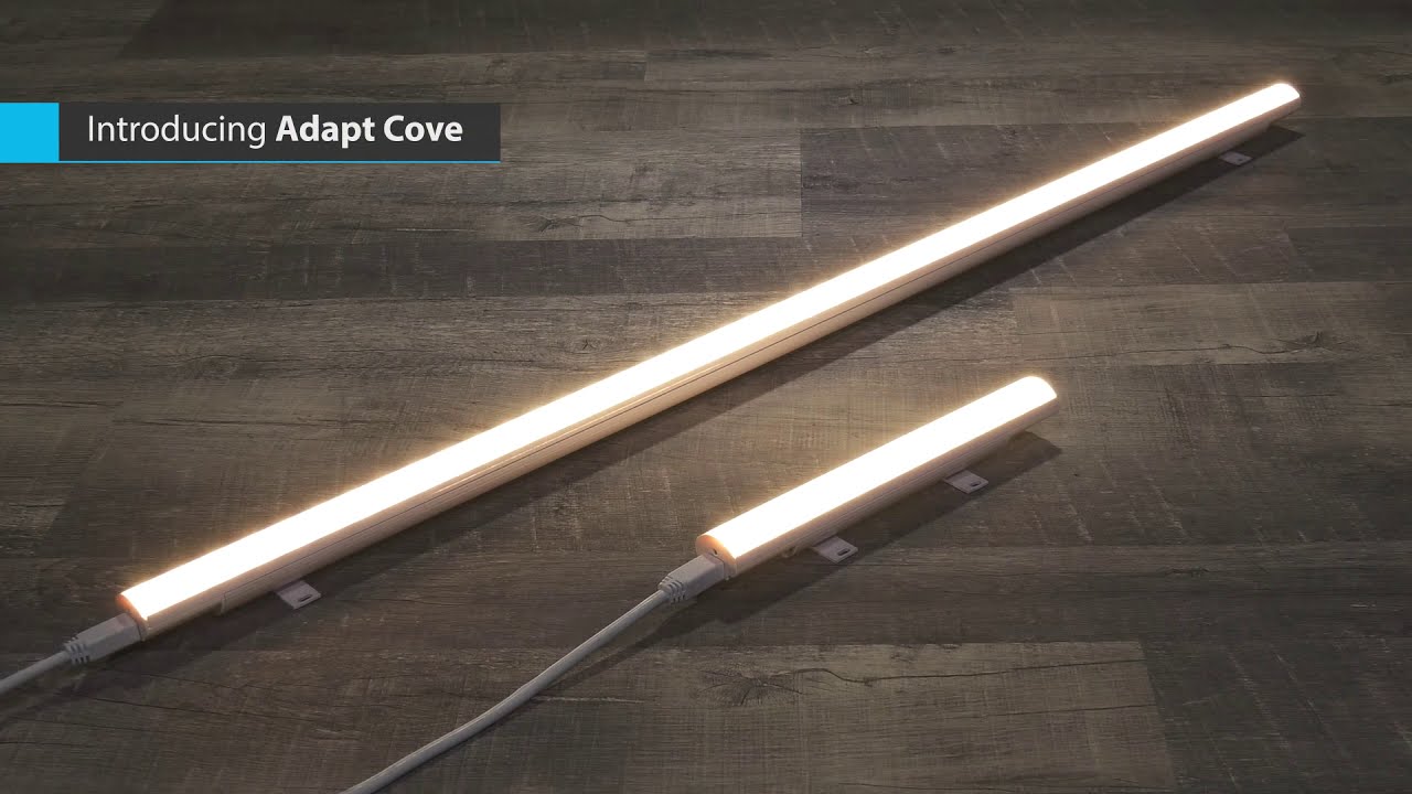 Acclaim Lighting – Adapt Cove