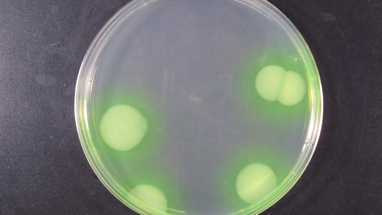 Read more about the article Today in Lighting January 25, 2020