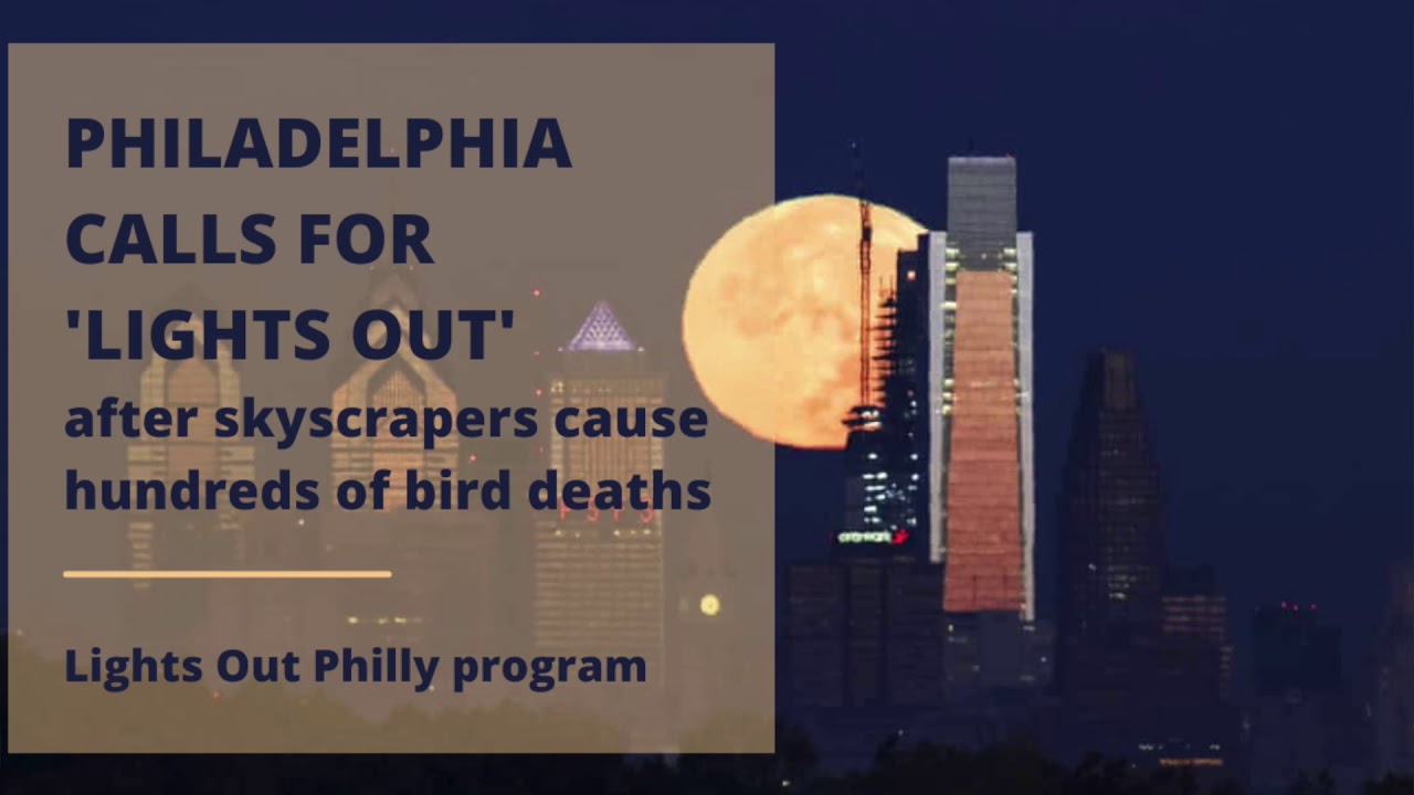 Read more about the article Today in Lighting March 16, 2021