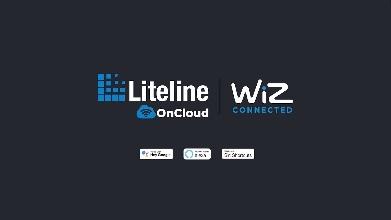 Read more about the article Introducing Liteline OnCloud