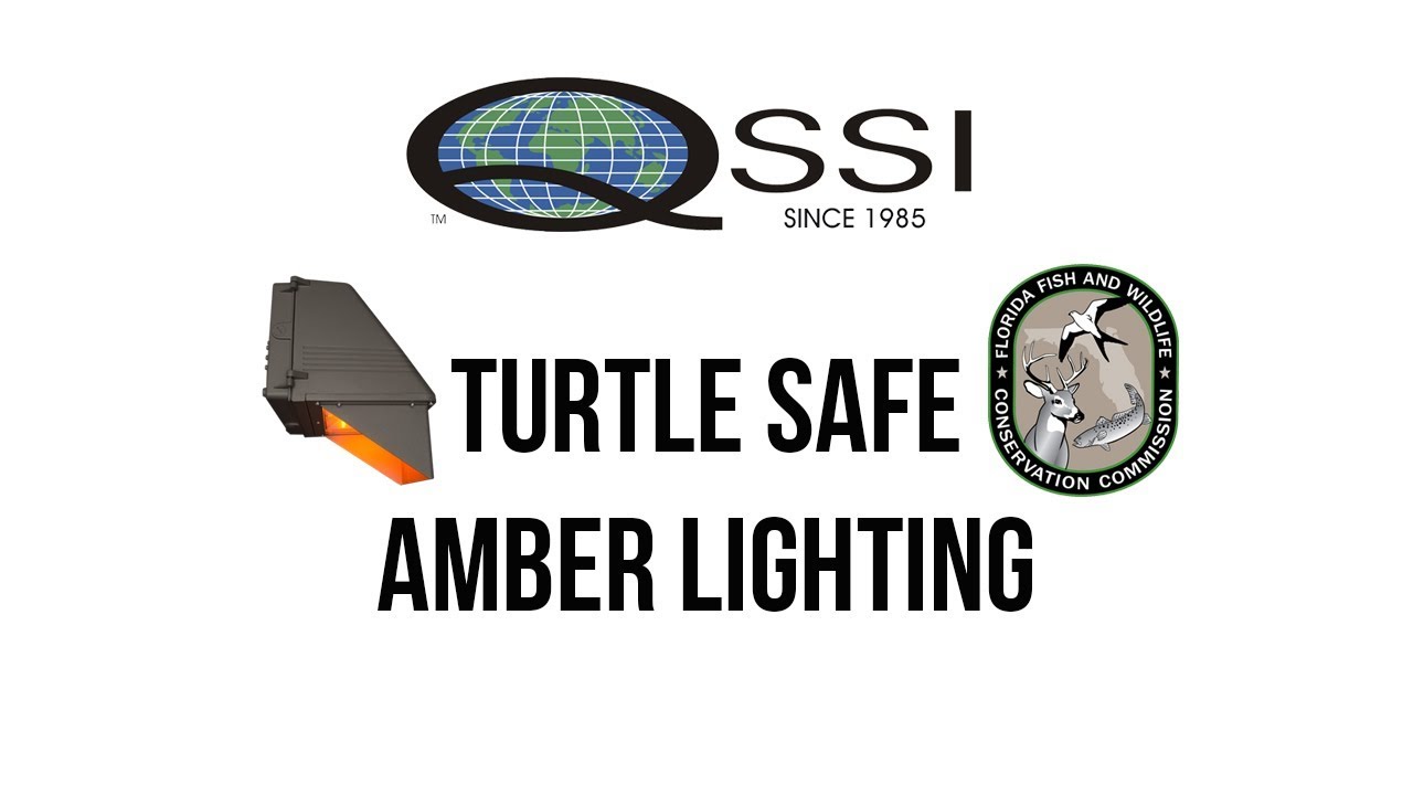 QSSI Turtle Safe Amber Lighting