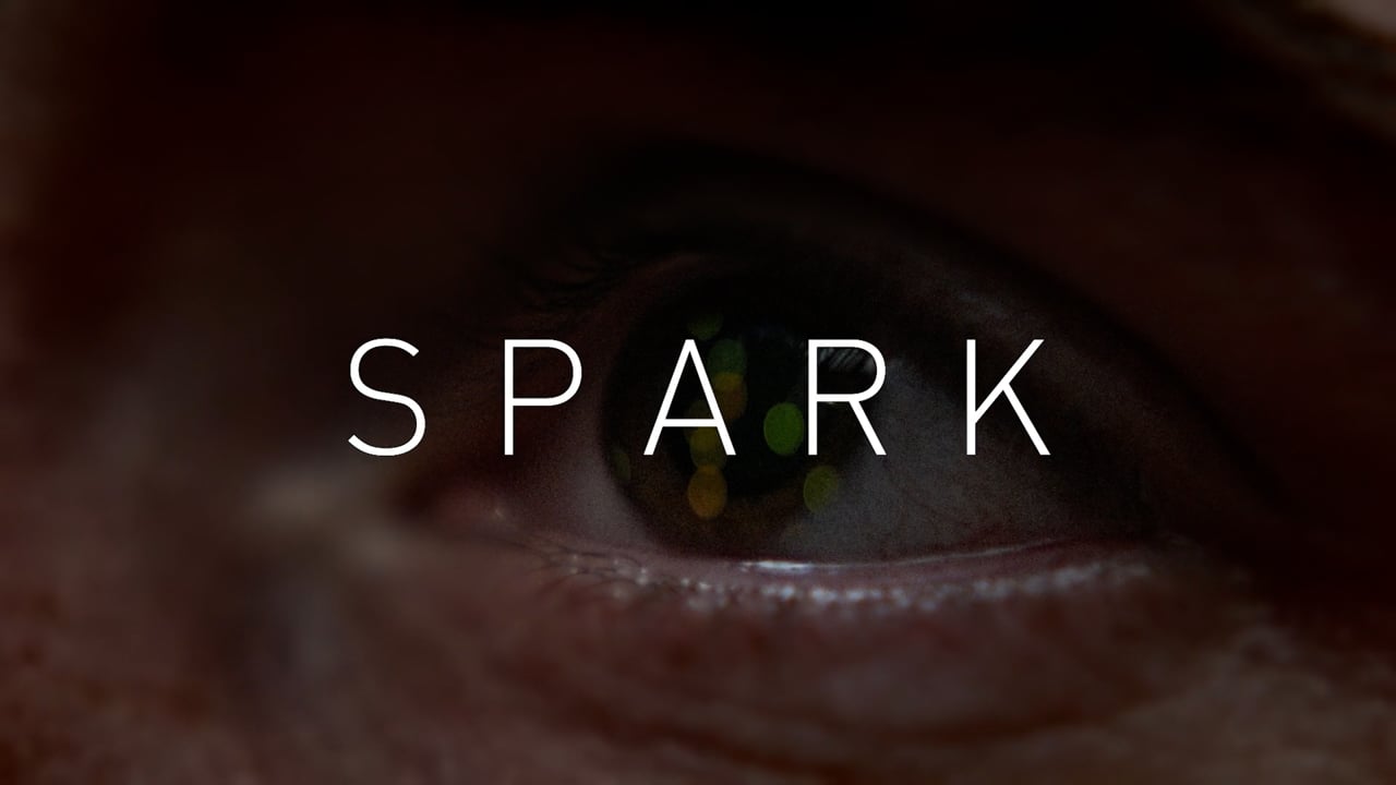 Read more about the article SPARK the movie by Roosegaarde: 60 seconds of organic fireworks