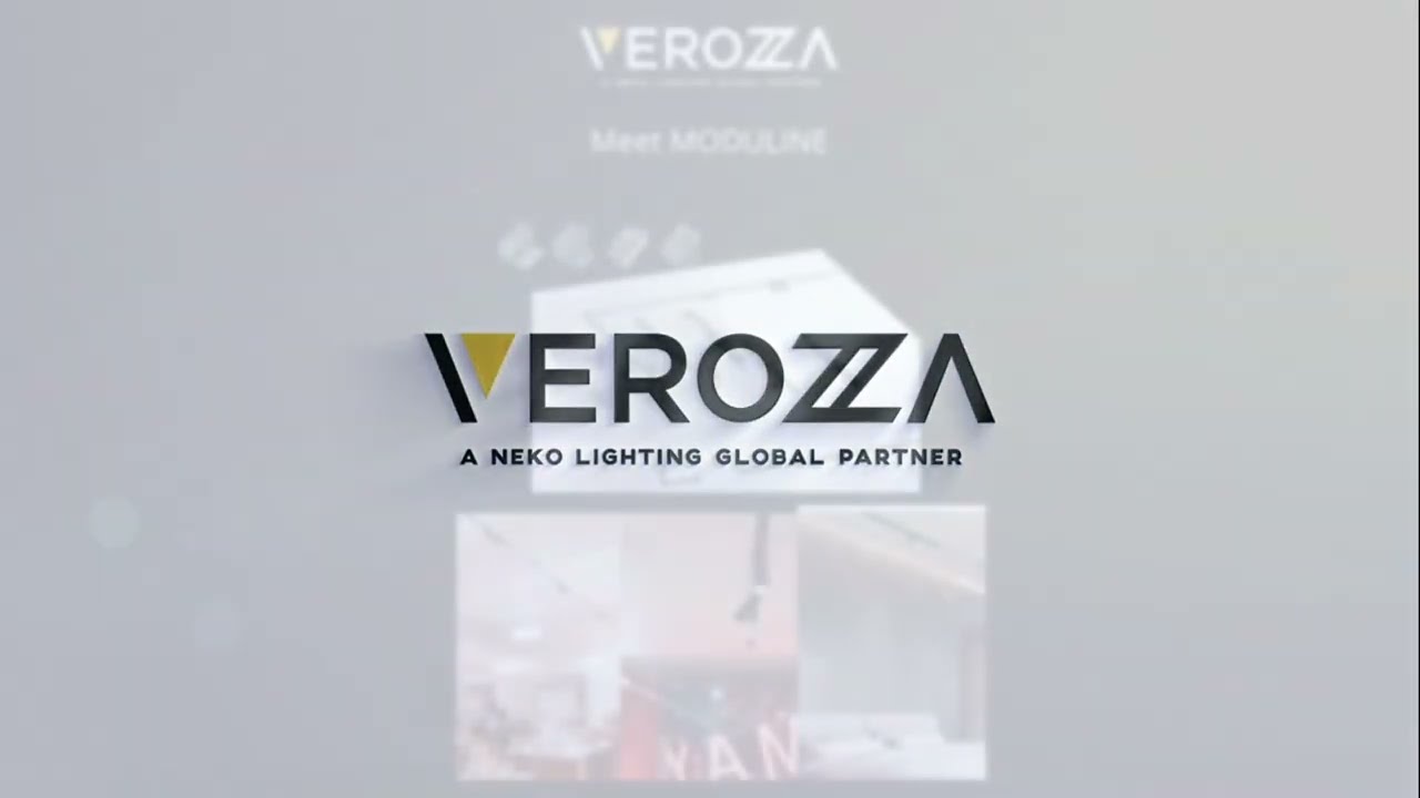 Read more about the article Verozza Moduline